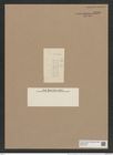 Stephanodiscus carconensis (Eul.) Grun. (de-Toni-Nr.: Genus 189, Species 4691) Zeichnungen Sammlung Grunow Nr. 8348 (NHMW-BOT-W0377755)